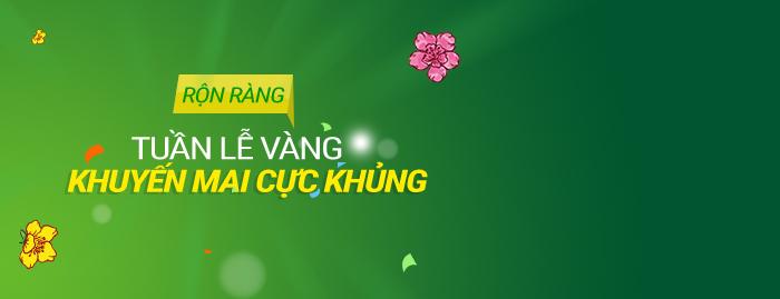 header-t2
