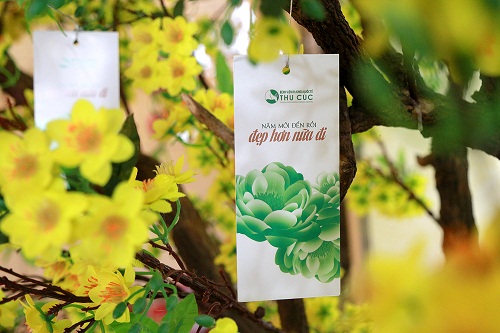Và sở hữu những phong bao lì xì tặng đến 40% phí dịch vụ (áp dụng cho Thu Cúc sài Gòn) hay 30% phí dịch vụ (áp dụng cho Thu Cúc Hà Nội) khi nâng ngực