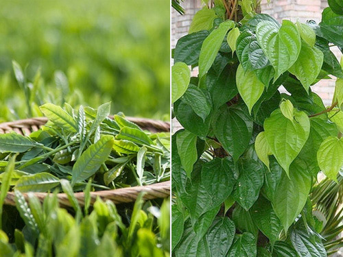 cach-tay-long-bang-phuong-phap-tu-nhien-sieu-tiet-kiem-2-3