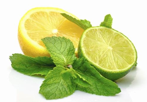 Tưởng chừng như chỉ là loại rau thơm ăn kèm trong các món ăn, rau húng quế thực chất còn có tác dụng hỗ trợ điều trị sẹo rỗ tự nhiên hiệu quả mà không phải ai cũng biết.