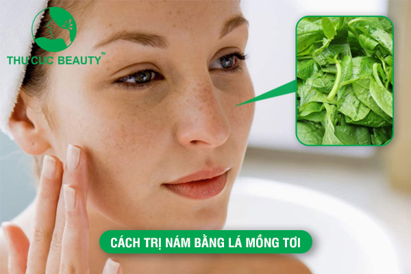 Cách điều trị nám bằng lá mồng tơi hiệu quả tại nhà